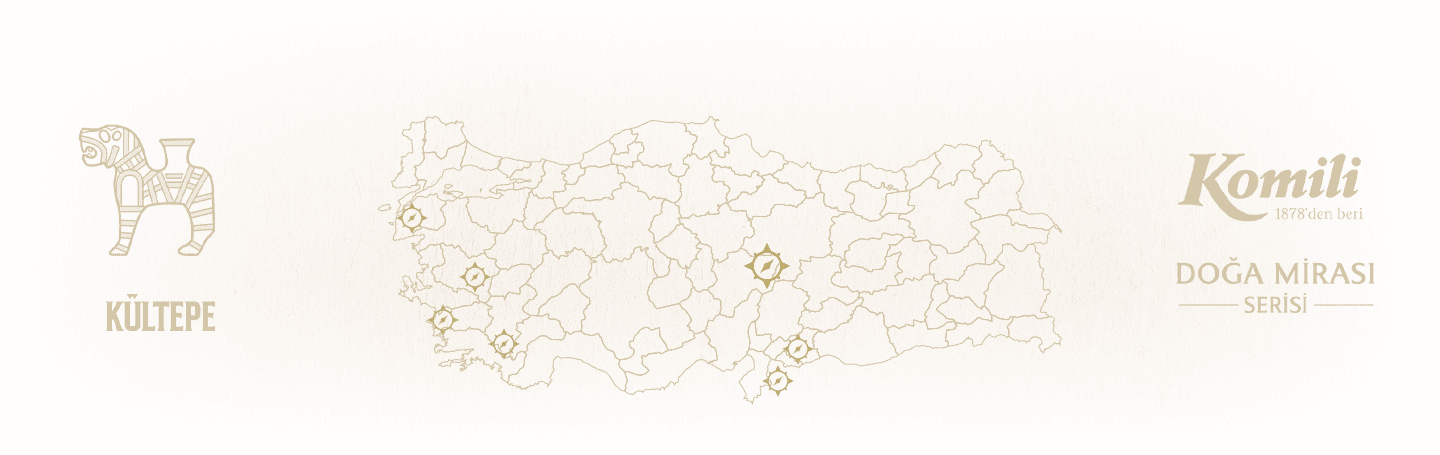 Komili Zeytinyağı Arkaplan Resmi