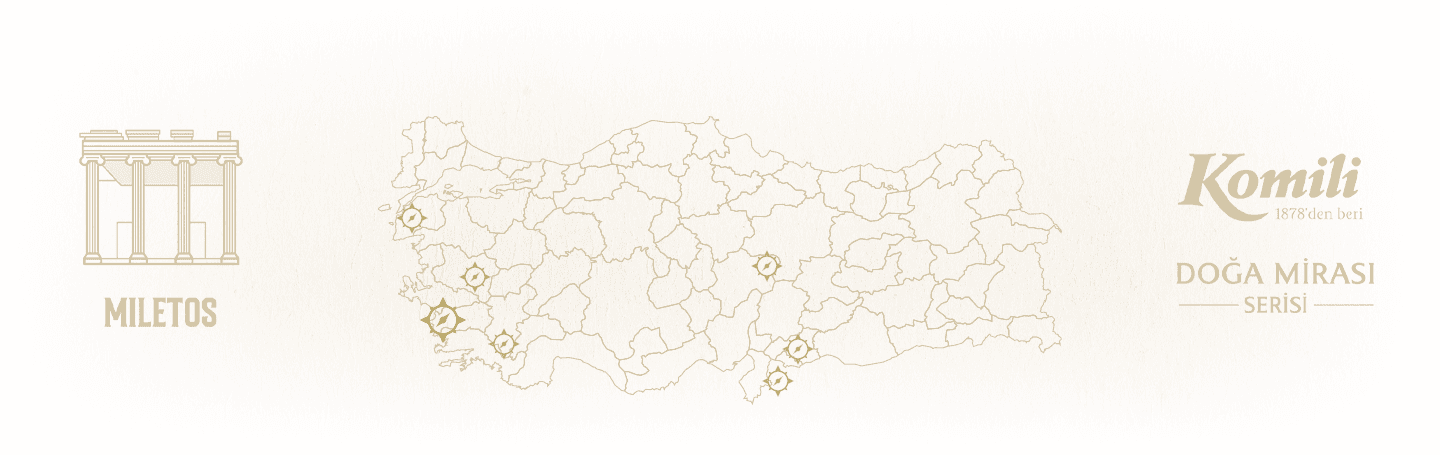 Komili Zeytinyağı Arkaplan Resmi