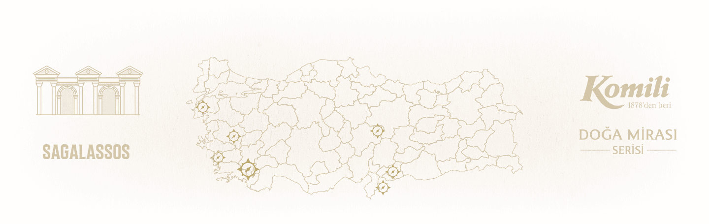 Komili Zeytinyağı Arkaplan Resmi