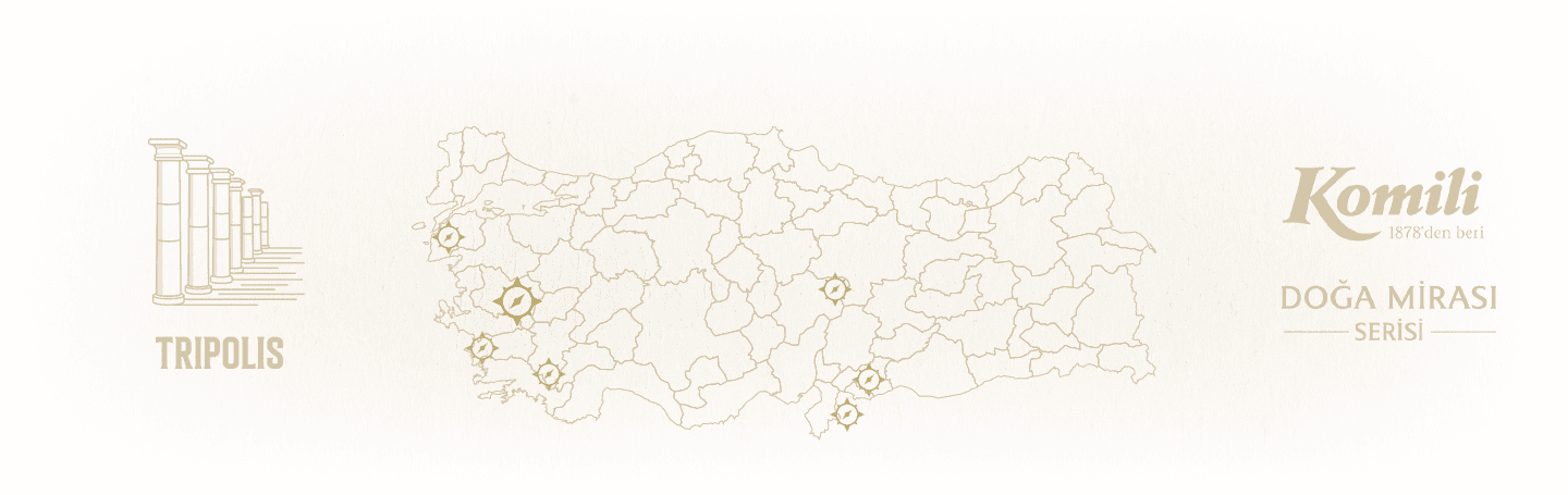 Komili Zeytinyağı Arkaplan Resmi