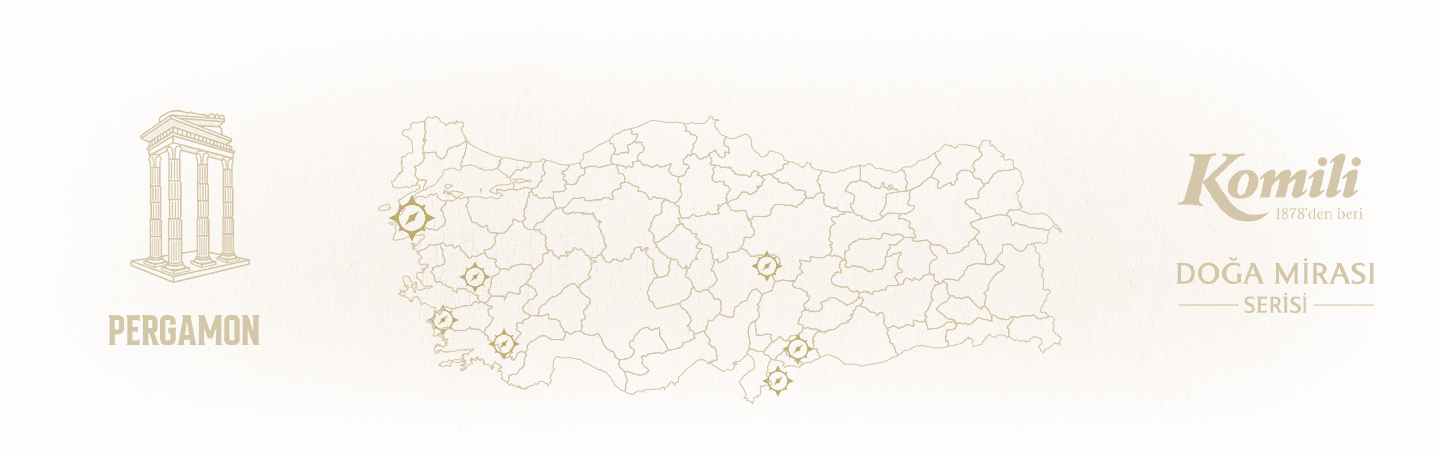 Komili Zeytinyağı Arkaplan Resmi